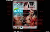 WWE Sirvivor series 2011