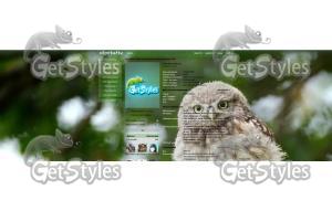 Owl_owl тема для контакта