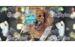 Золотистый ретривер и фот тема для контакта