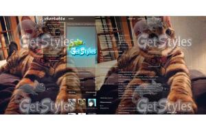 кот тема для контакта