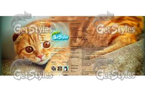 Кошка, котик тема для контакта