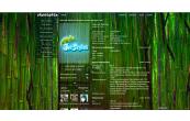 bamboo