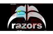 RazorS