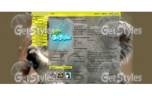 Koala тема для контакта