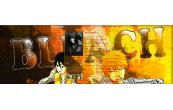 Bleach