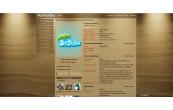 wood surface