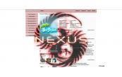 NEXUS