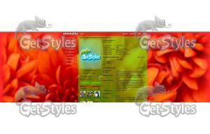 Хризантемы тема для контакта