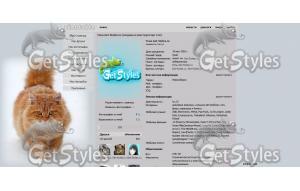 котэ тема для контакта