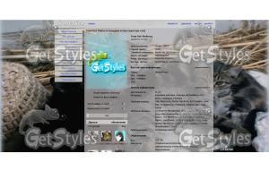 кошки тема для контакта