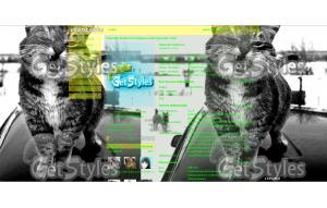 кот тема для контакта