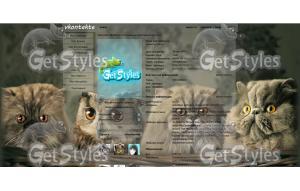 Коты и Сова тема для контакта