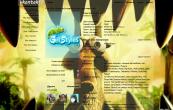 Ice age