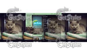 ДЛЯ ТЕХ,КТО ЛЮБИТ КОТЕЕК тема для контакта