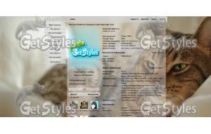 koshkakotlezhaotdyhpostel тема для контакта