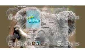 Koala тема для контакта