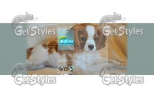 Собачка Кавалер кинг чарл тема для контакта