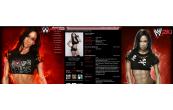 wwe Aj Lee