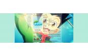 hunter x hunter