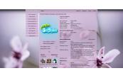 цветы,природа