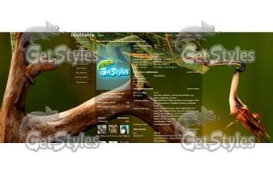 1279915942_1279891665_pos тема для контакта