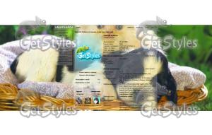 46098635_x_dd741e08 тема для контакта