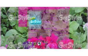 IMG_0238 тема для контакта