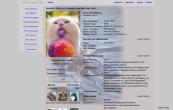 dragon_sapfire