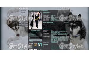 Siberian husky тема для контакта