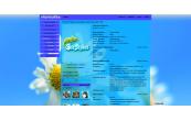 Windows 8