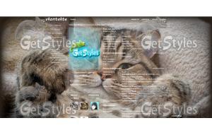 Кот тема для контакта