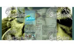 Котяра тема для контакта