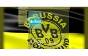 1340258166_ss_borussia