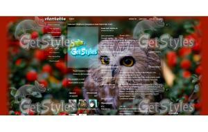 Owl тема для контакта