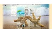 Nature_Beach_Sea_stars_01