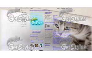 кошак тема для контакта