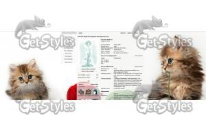 Kitty тема для контакта