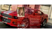 vetton_ru_mustangcustom19