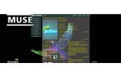 Muse