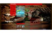 Aligator