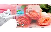 holidayflowersrosesbouque