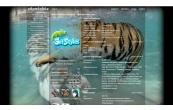 Vk Тигры под водой