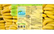 banana_ripening1440x686