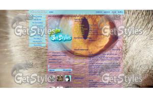 0_STATIC70ee3_215d915a тема для контакта