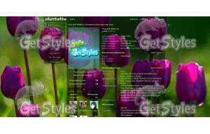 Flower тема для контакта