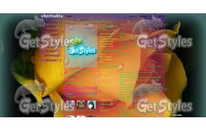 жёлтая роза тема для контакта