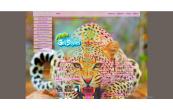 leopard