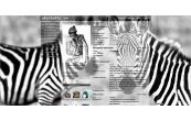 zebra stripes BlackAndWhi