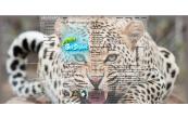 ЛЕОПАРДА 2