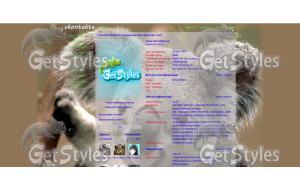 Koalaяркие буквы тема для контакта